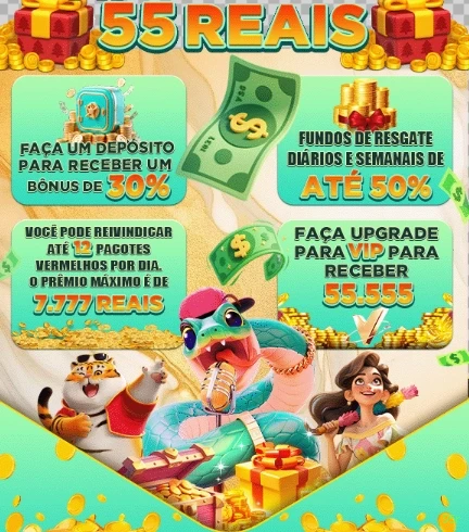 Programa VIP 95r